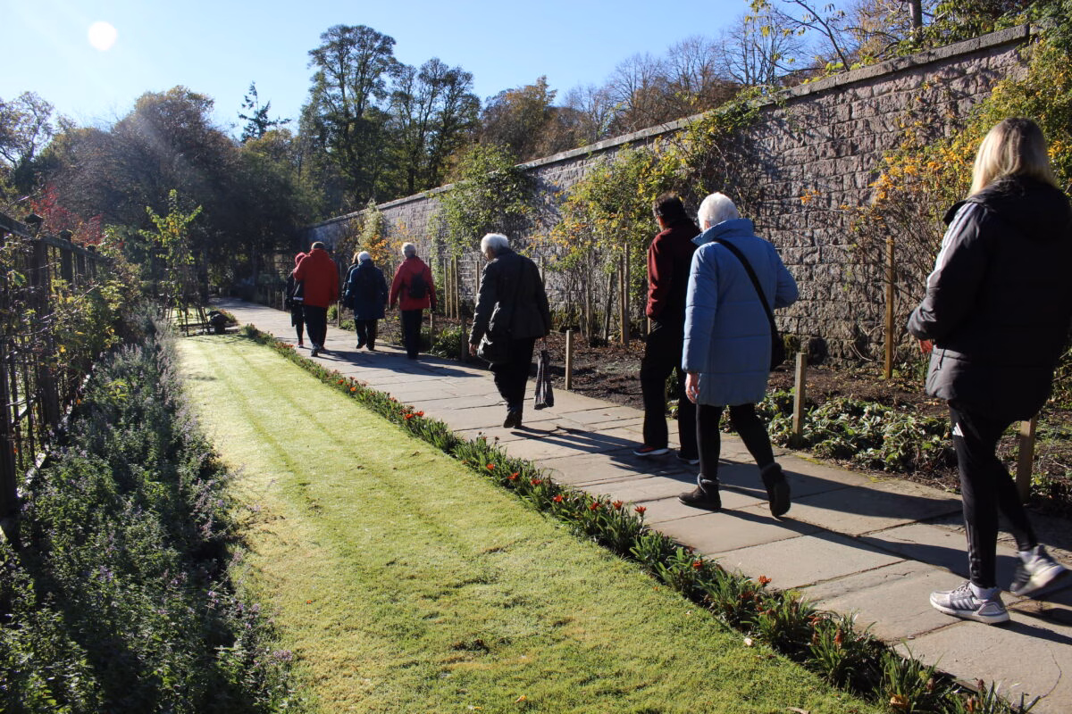 People walking along a path next to green grass and tree's People walking along a path next to green grass and tree's